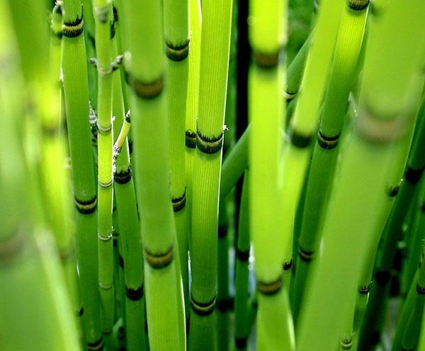 bambusowe pieluchy